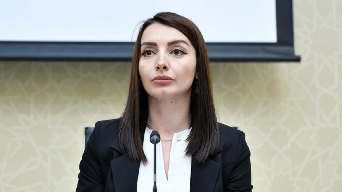 Leyla Abdullayeva: French Senate resolution doesn’t serve normalization process