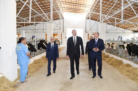 Prezident İlham Əliyev Cəlilabadda “Günəşli-Aqro” MMC-nin aqroparkında yaradılan şəraitlə tanış olub