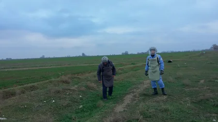 Goranboyda yol kənarından əl qumbarası aşkar edilib