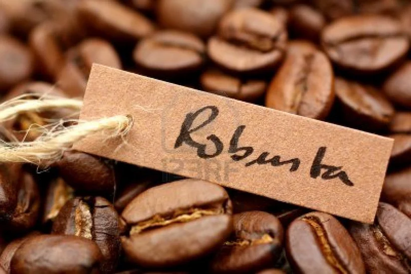 Braziliyada ilk dəfə olaraq robusta qəhvəsinin idxalına icazə verilib