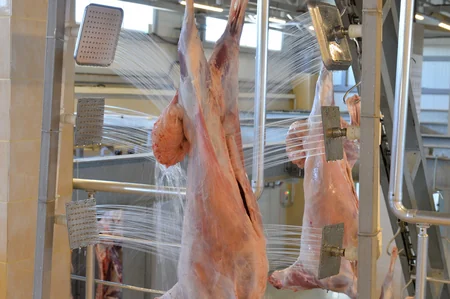 İran halal ət kəsimini Azərbaycan şirkətinə etibar edib - VİDEO