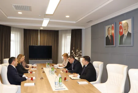 Azerbaijan Industrial Corporation may attract new investments from Italy