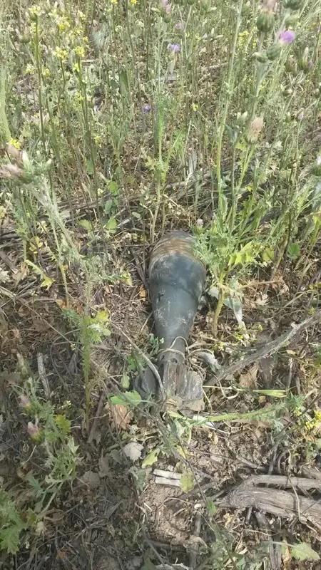 ANAMA son 20 gündə 1 289 ədəd PHS və 10 ədəd PMN zərərsizləşdirib