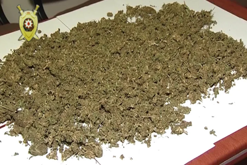 Bakıda keçmiş məhkumdan 13 kiloqram marixuana aşkar edilib