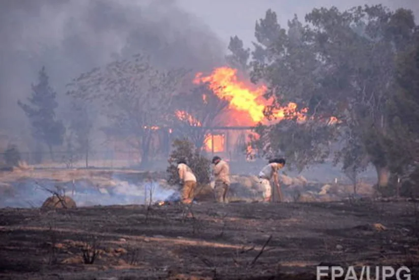 В Калифорнии бушует масштабный лесной пожар: есть жертвы