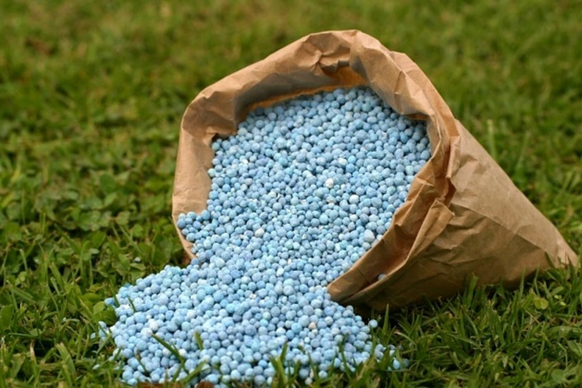 Azerbaijan reduces cost of importing fertilizers by 18%