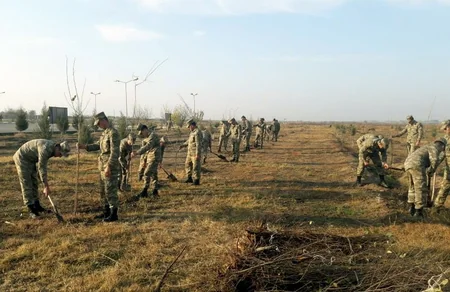 Azərbaycan Ordusunda ağacəkmə aksiyası davam edir