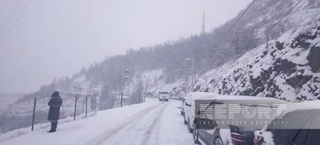 В Шуше выпало 10 см снега