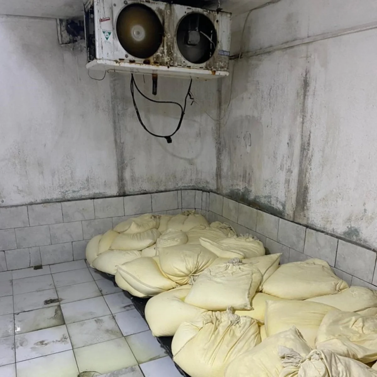 Bakıda süd məhsullarının emalı müəssisəsinin fəaliyyəti məhdudlaşdırılıb