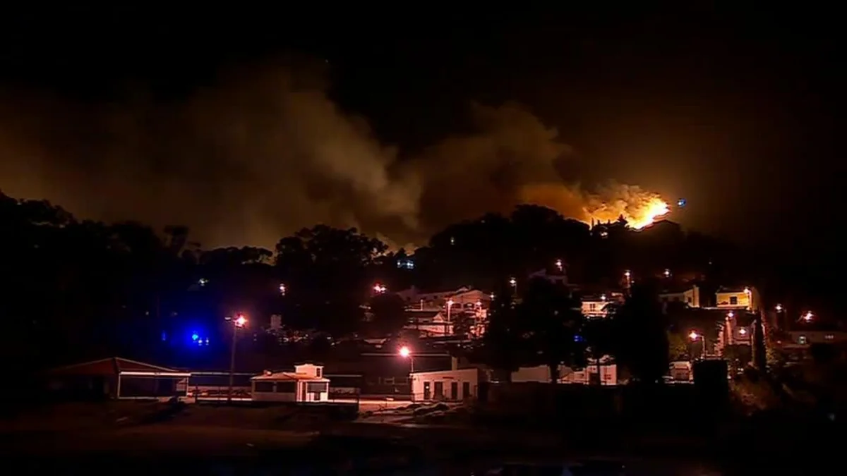 Portuqaliyada iri meşə yanğını söndürülüb