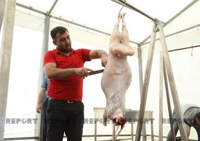 Bakıda əhali qurban kəsib