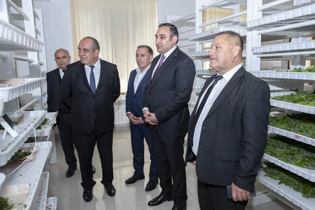 Azərbaycanda kümçülərə ipəkqurdu toxumunun paylanılması başa çatıb