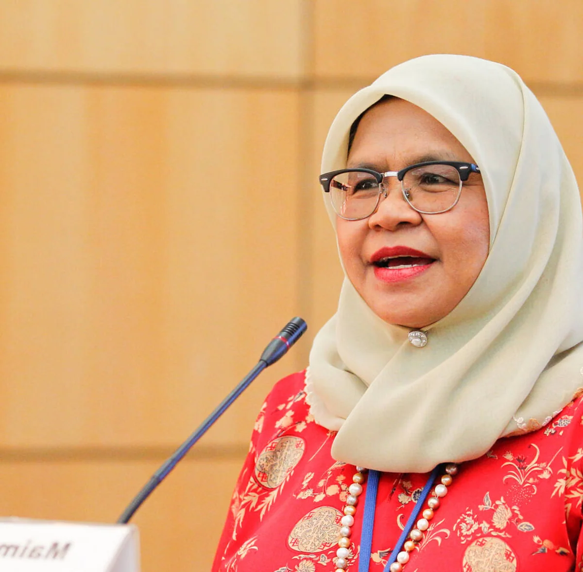 Kuala Lumpur mayor: Advanced int’l governance system needed to implement COP29 outcomes
