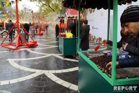 “Soyuq əllər, isti ürək” xeyriyyə yarmarkasının açılışı olub