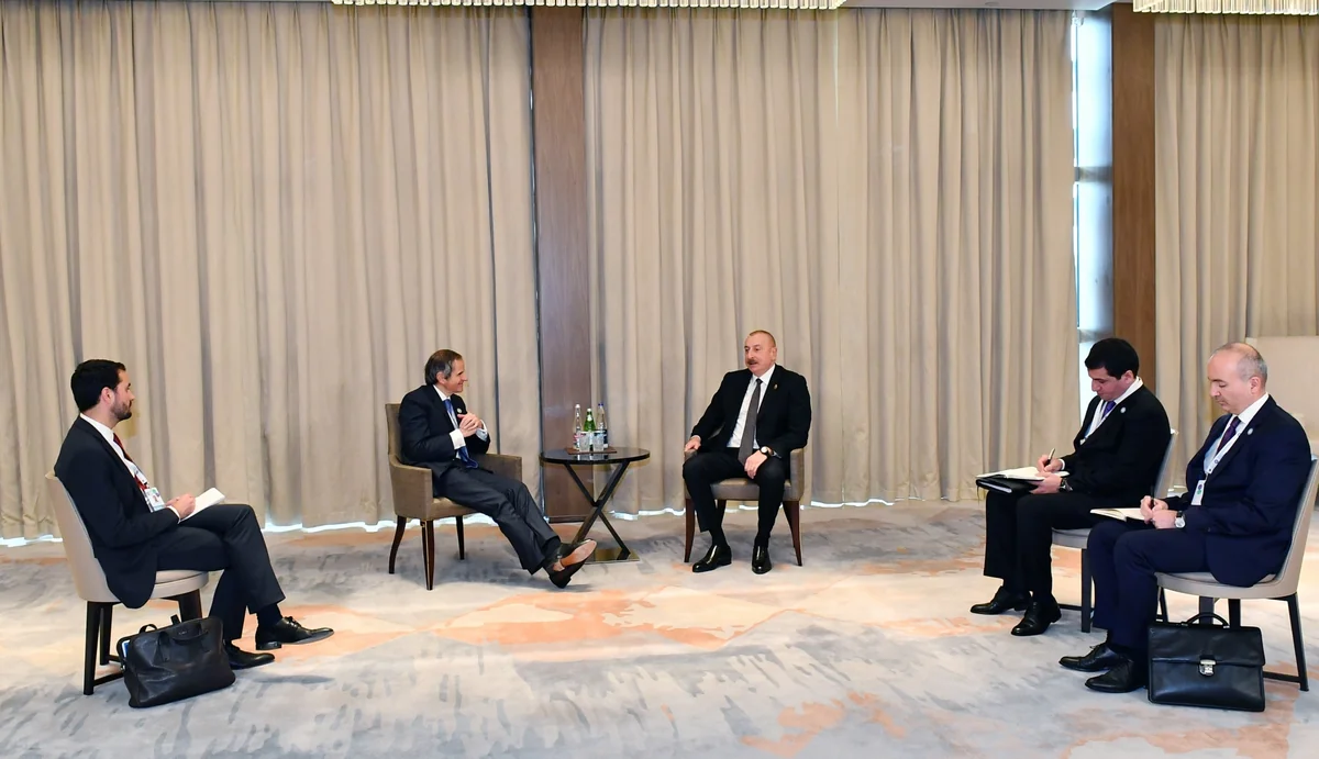 Президент Ильхам Алиев принял генерального директора МАГАТЭ