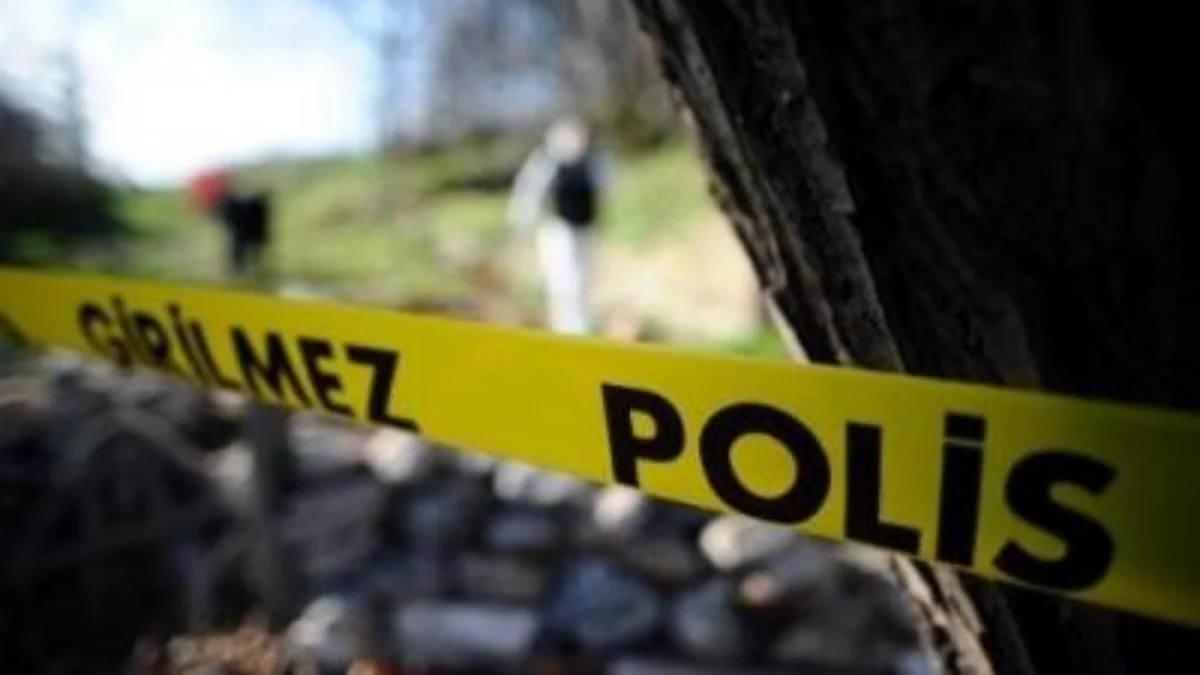Explosion killed 2 children, injured 4 in Turkey's Şırnak