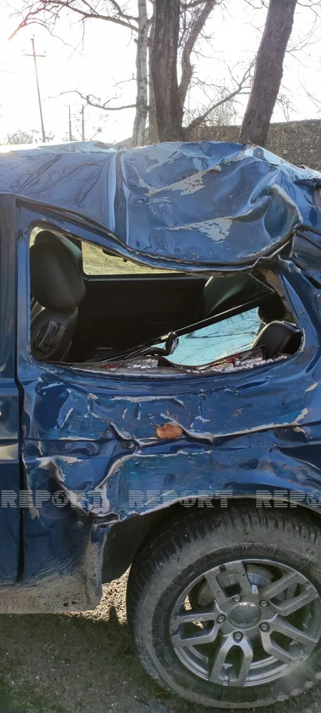 В Шеки автомобиль врезался в дерево, есть пострадавшие