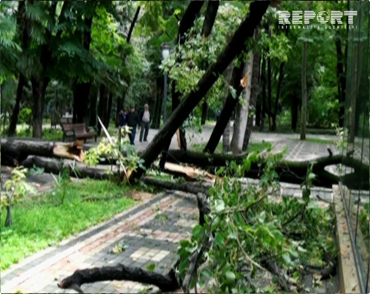 ​Gəncəyə yağan güclü leysan ciddi fəsadlar törədib - FOTO