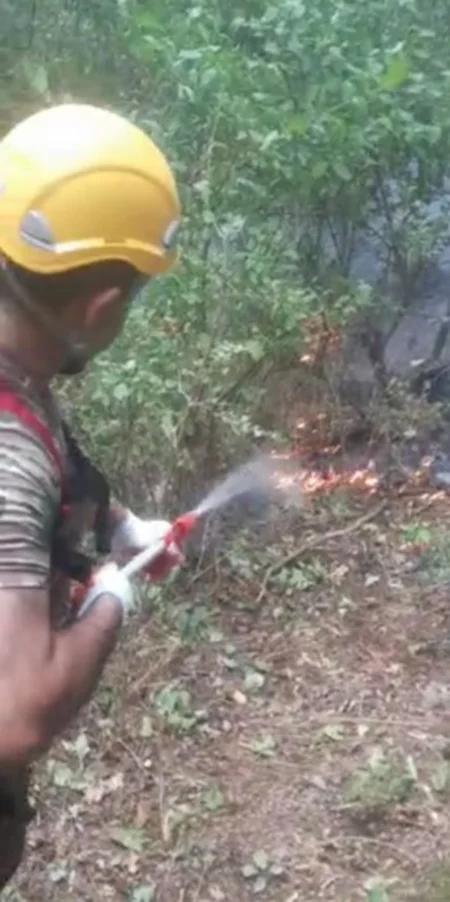 FHN: Meşə yanğınlarının söndürülməsinə 1140 nəfərdən çox canlı qüvvə və 120 texnika cəlb olunub