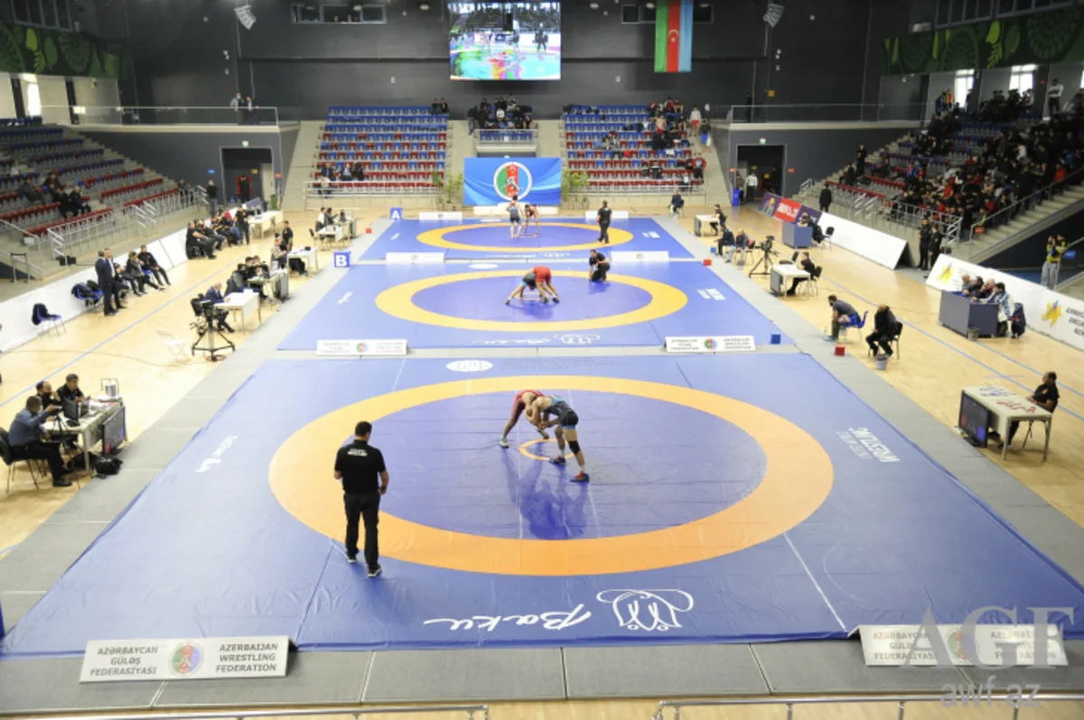Güləş üzrə Azərbaycan çempionatına yekun vurulub
