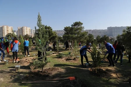 President Ilham Aliyev and first lady Mehriban Aliyeva attended tree-planting campaign in Khatai district, Baku