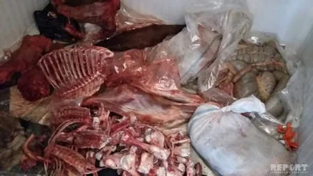Bərdədə 110 kilo at əti satışının qarşısı alınıb - FOTO