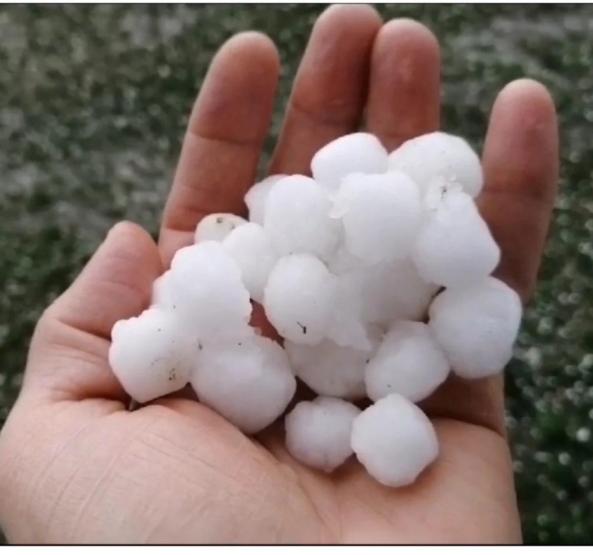 Xınalığa dolu düşüb