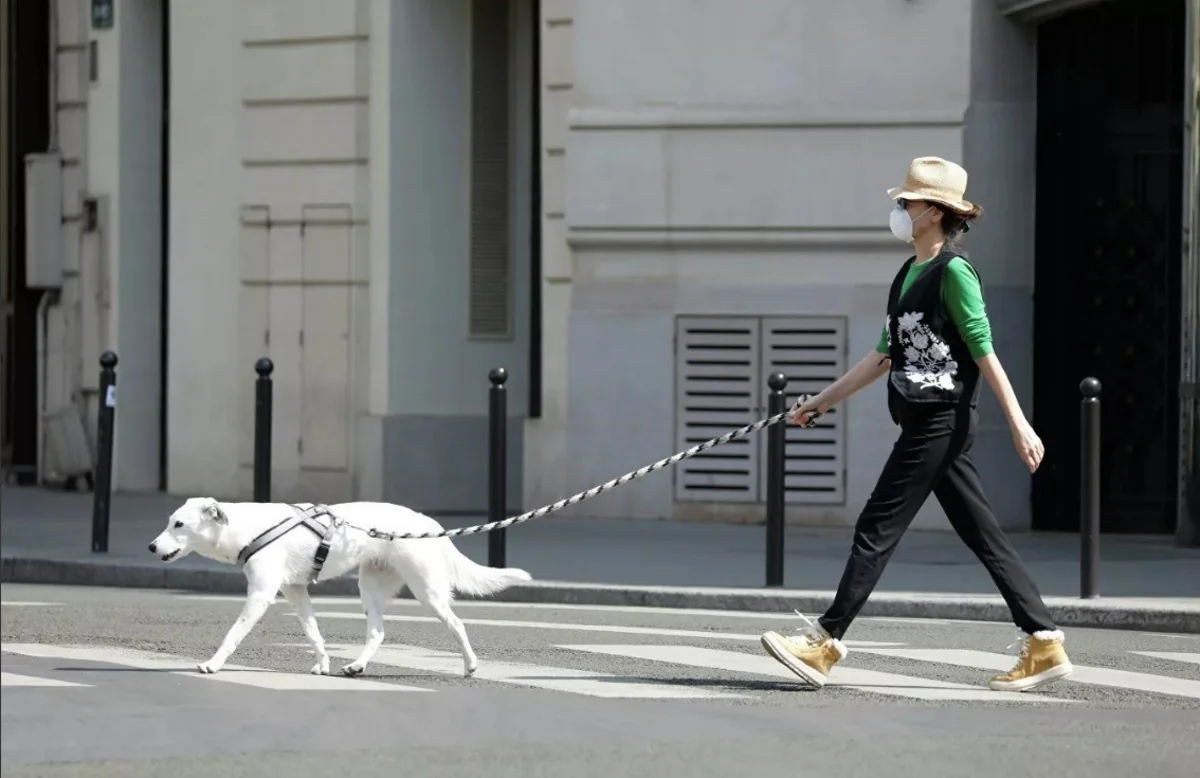 Fransada COVID-19 xəstələrinin sayı 160 mini ötdü