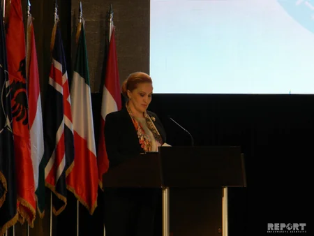 Azərbaycanın da qatıldığı “NATO-Gürcüstan Təlimi 2019”un rəsmi açılış mərasimi keçirilib