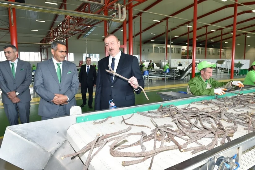 President Ilham Aliyev inaugurated Liquorice Industry Park in Aghdash