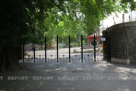 Tbilisi zooparkının sevimli və nəcib sakinləri - Azərbaycanın hədiyyəsi - VİDEOREPORTAJ