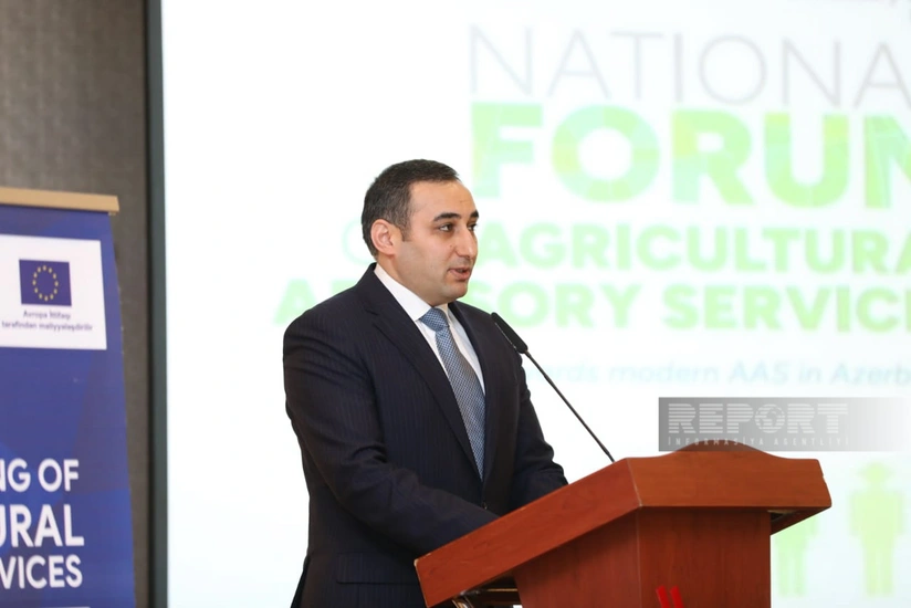 Замминистра: Азербайджан уделяет особое внимание цифровизации госуслуг для фермеров