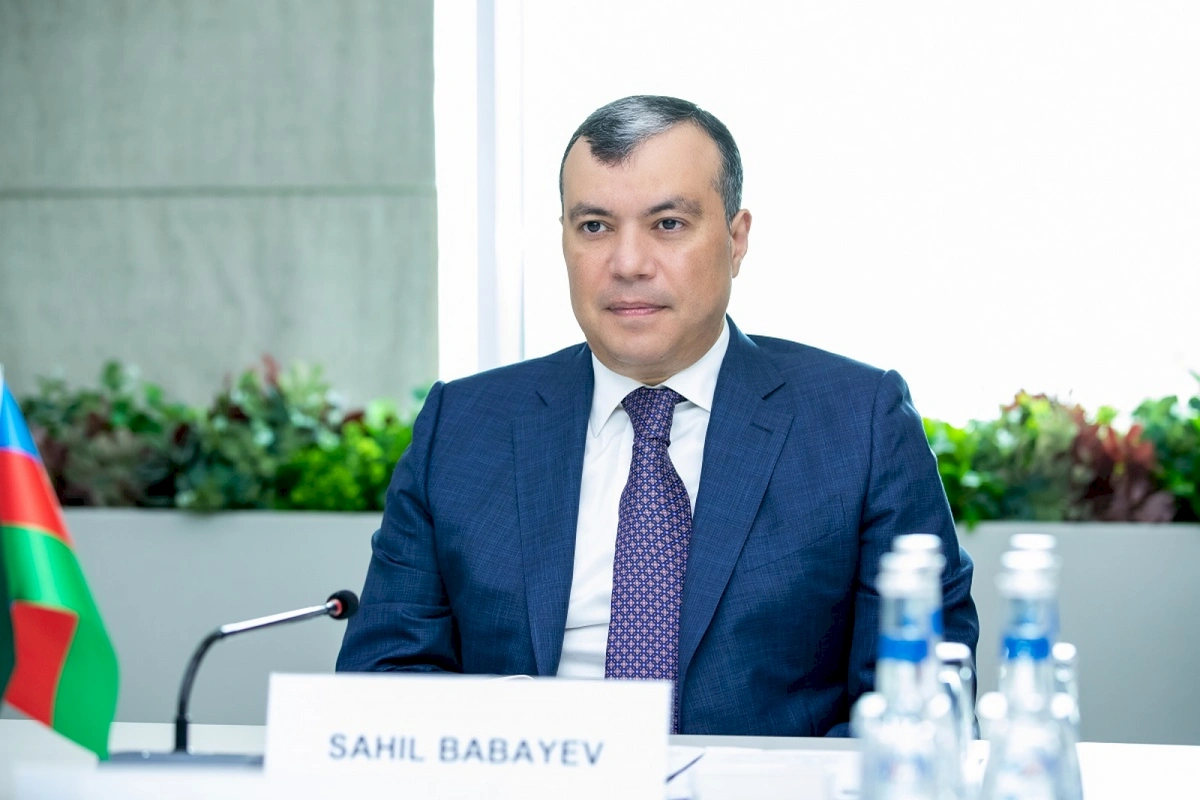 Sahil Babayev: 'We are aimed at attracting qualified specialists to self-employment programs'