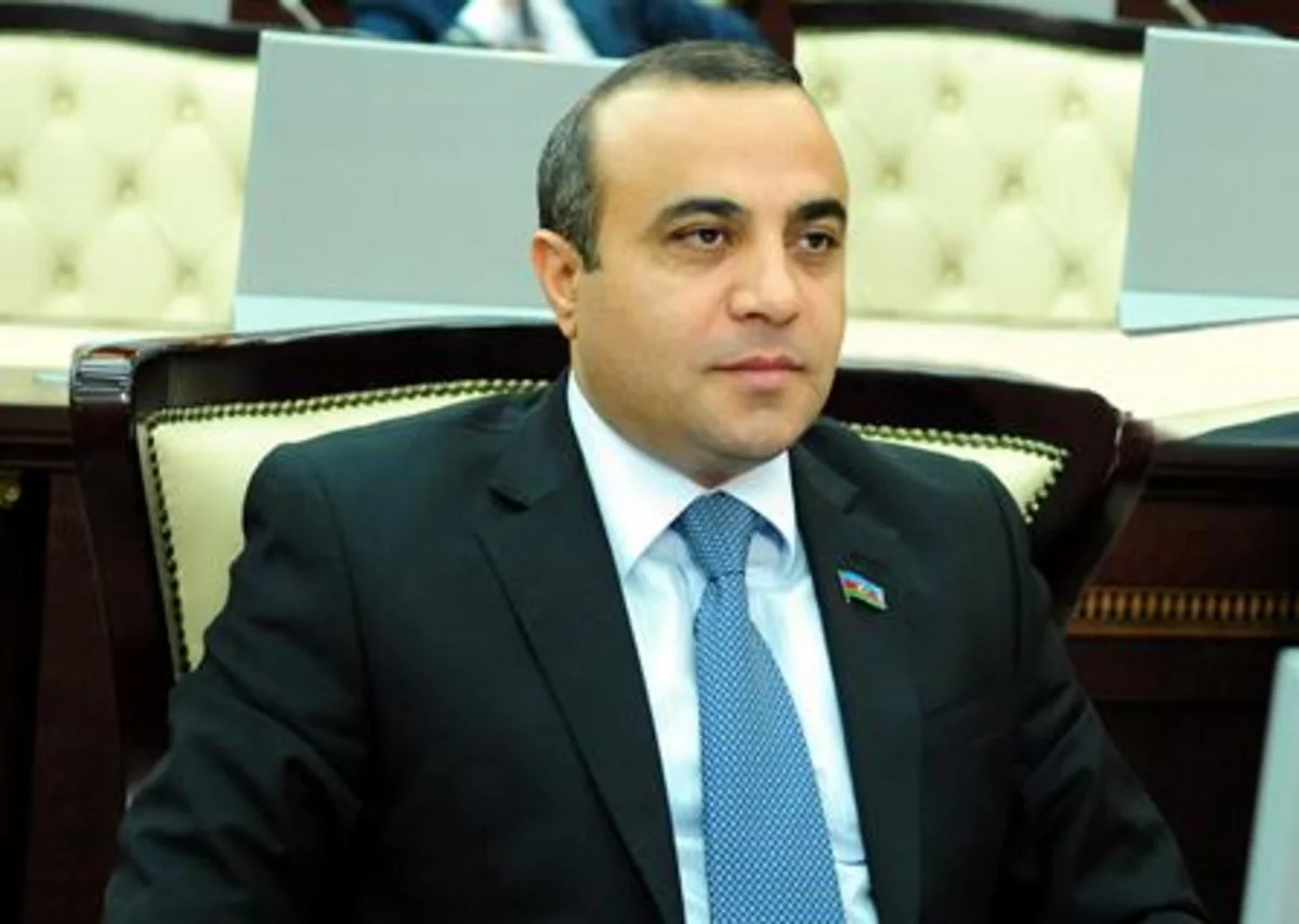 ​Millət vəkili: Milli Demokratiya İnstitutu gəncləri küçələrə çıxarmamalıdır
