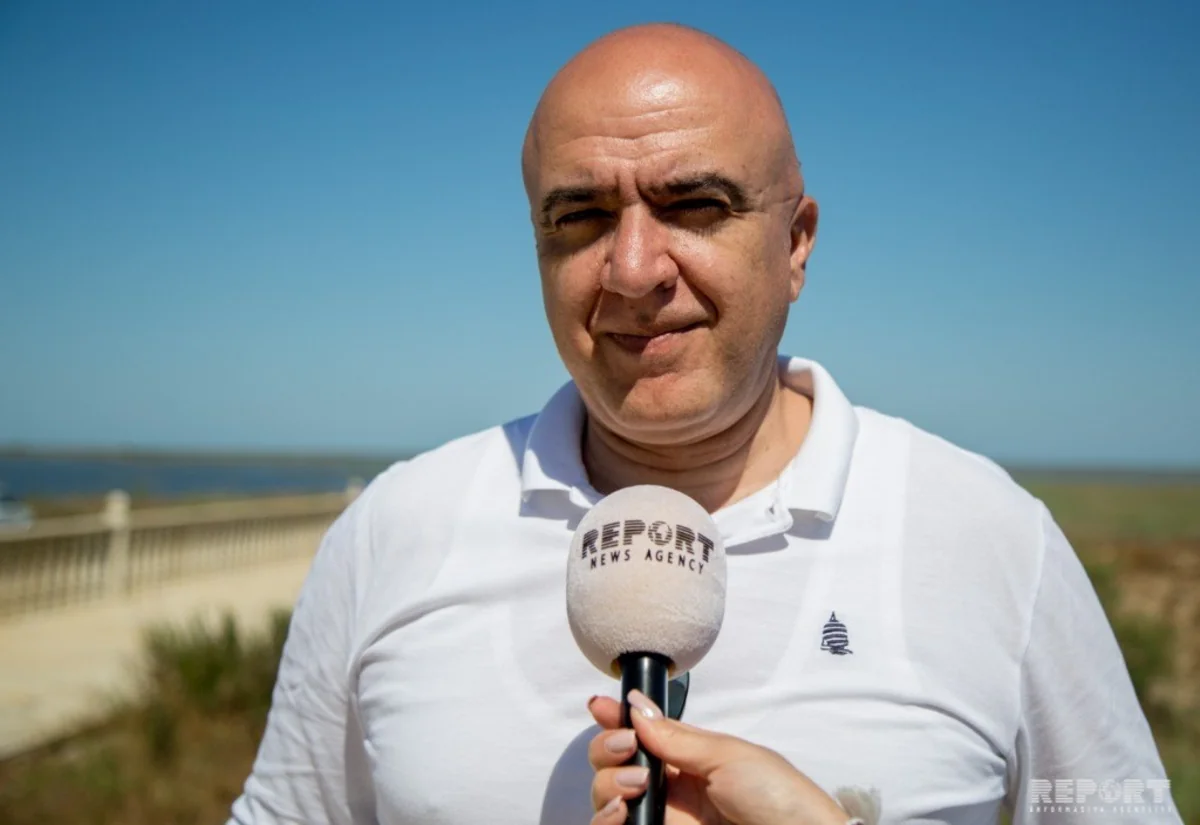 Direktor: Azərbaycanda yerli və xarici ovçular daha çox quş ovuna maraq göstərirlər