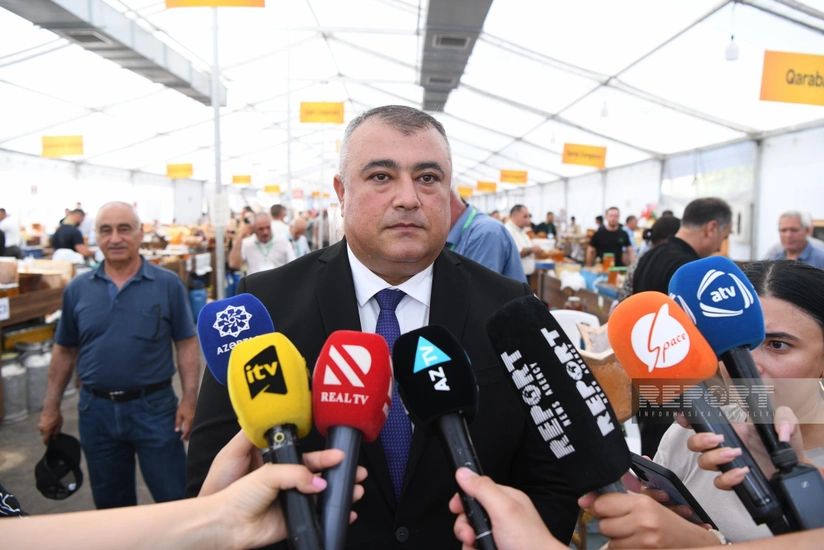 Vüqar Hüseynov: Bu il Kəlbəcərə 130 min arı ailəsi köçürülüb