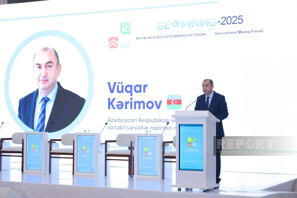 Nazir müavini: “Naxçıvan Azərbaycanın zəngin geoloji strukturuna malik bölgələrindən biridir”