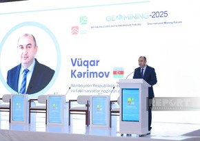 Nazir müavini: “Naxçıvan Azərbaycanın zəngin geoloji strukturuna malik bölgələrindən biridir”