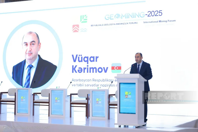 Nazir müavini: “Naxçıvan Azərbaycanın zəngin geoloji strukturuna malik bölgələrindən biridir”