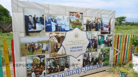 Lənkəran məktəblilərinin yay festivalı keçirilib