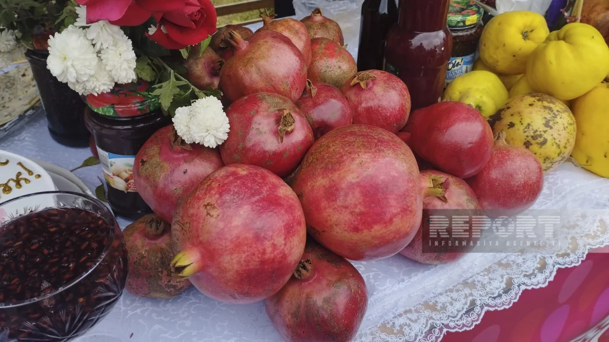 В Гёйчае проходит Фестиваль граната