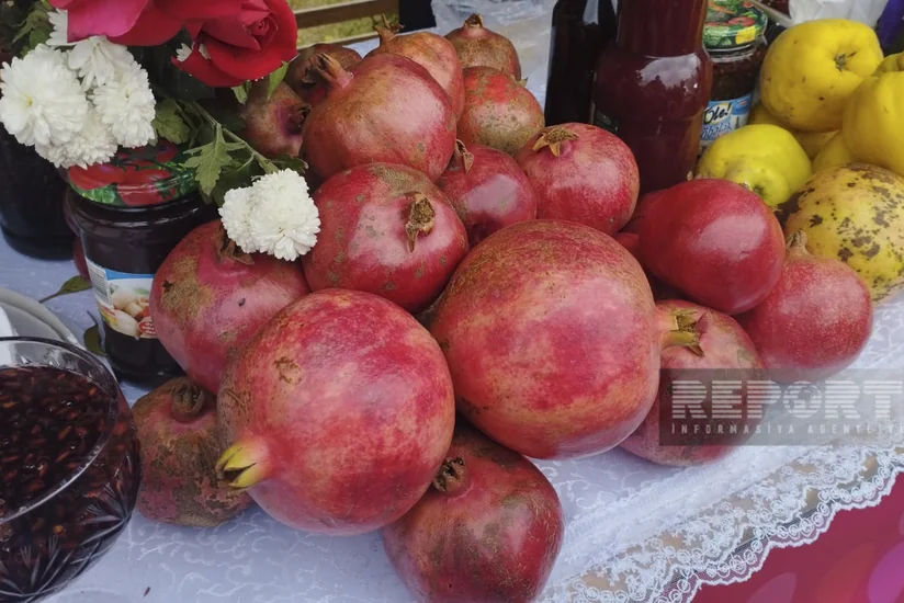 Göyçayda XV Nar festivalı keçirilir