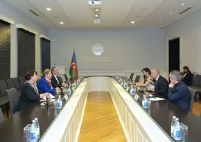 Azerbaijan's Ministry of Science and Education, WHO mull bilateral co-op