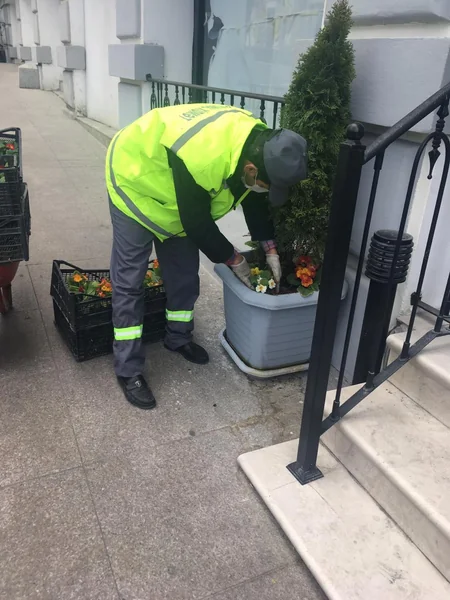 Karantin günlərində paytaxtda yaşıllıqlara qulluq göstərilir