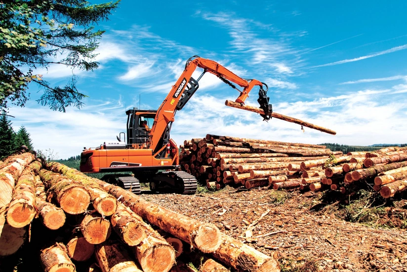 Rusiya Azərbaycana meşə sənayesi məhsullarının ixracını artırıb