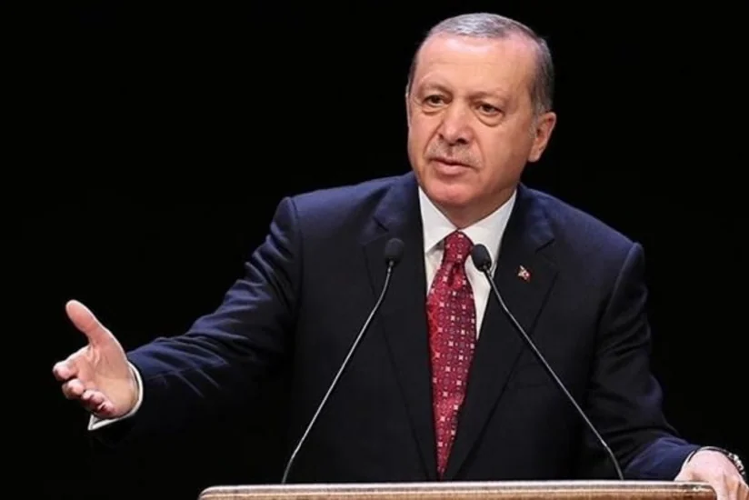Эрдоган: Турция продолжит военные операции в Сирии и Ираке