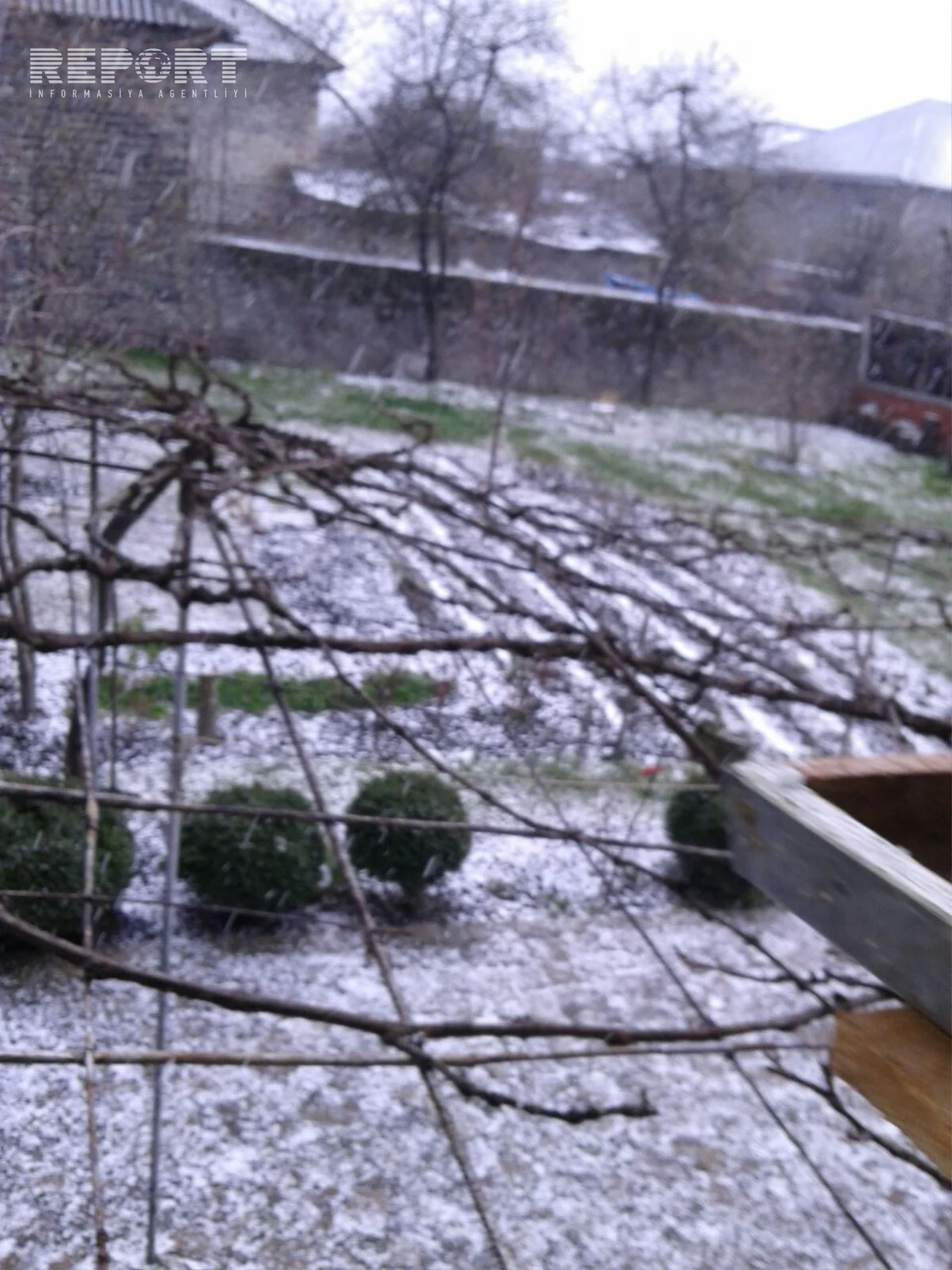 Qaxda dolu yağıb - FOTO - VİDEO