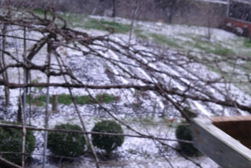 В Гахский район выпал град - ФОТО - ВИДЕО