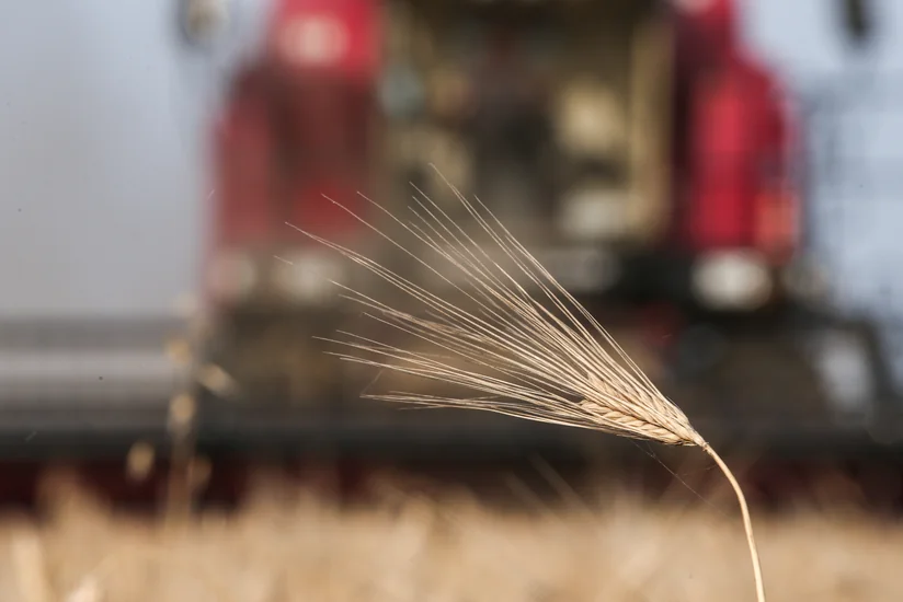 US may lift sanctions from Belarus in exchange for grain export from Ukraine