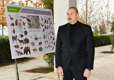 İlham Əliyev “Şəki-Oğuz” Aqroparkında yaradılan şəraitlə tanış olub - YENİLƏNİB